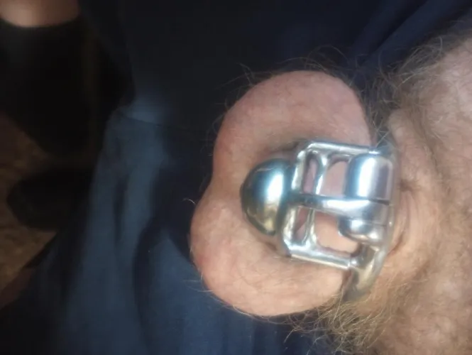 Prince albert with permalocker.