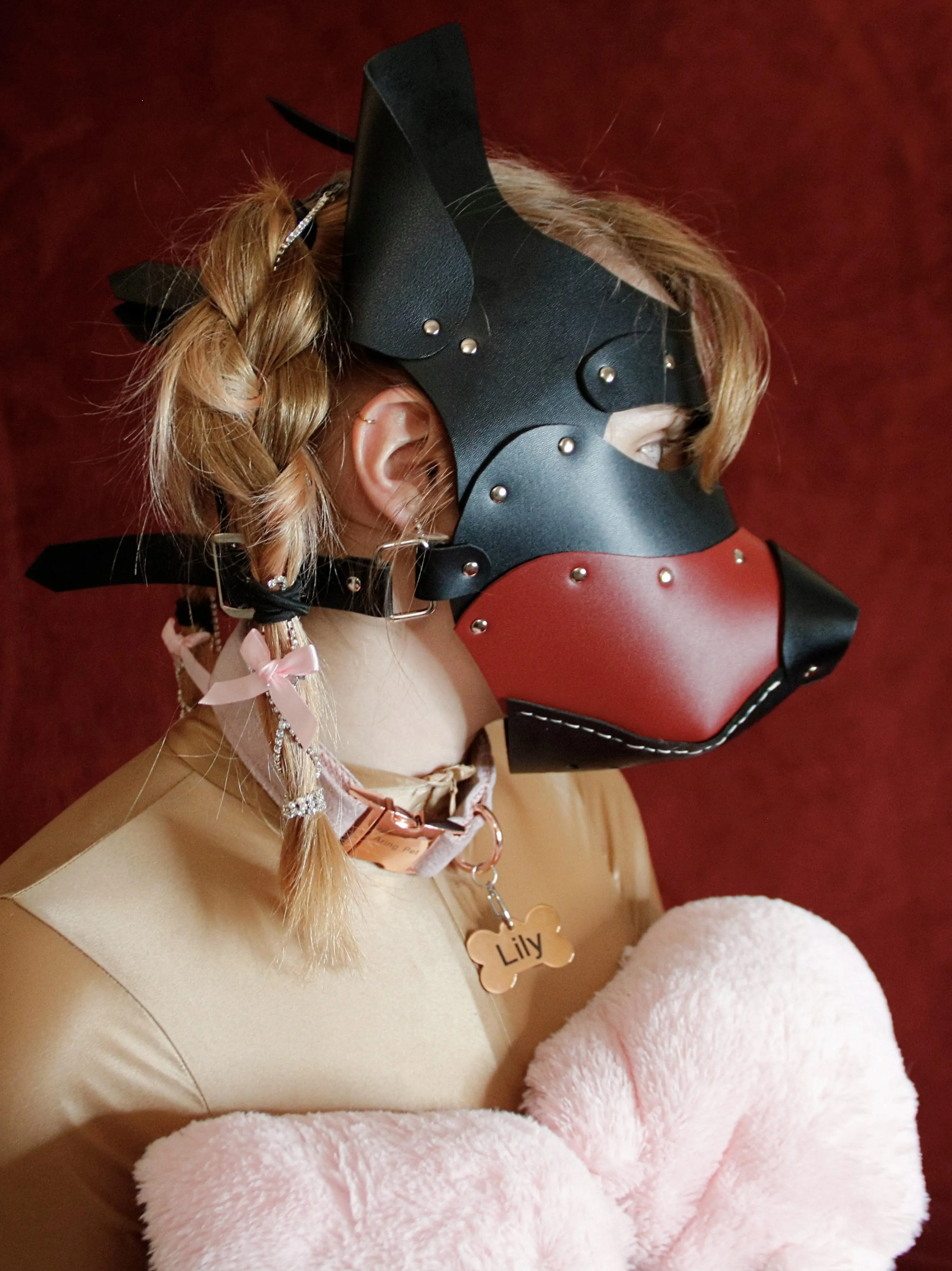 Puppygirl has pigtail braids