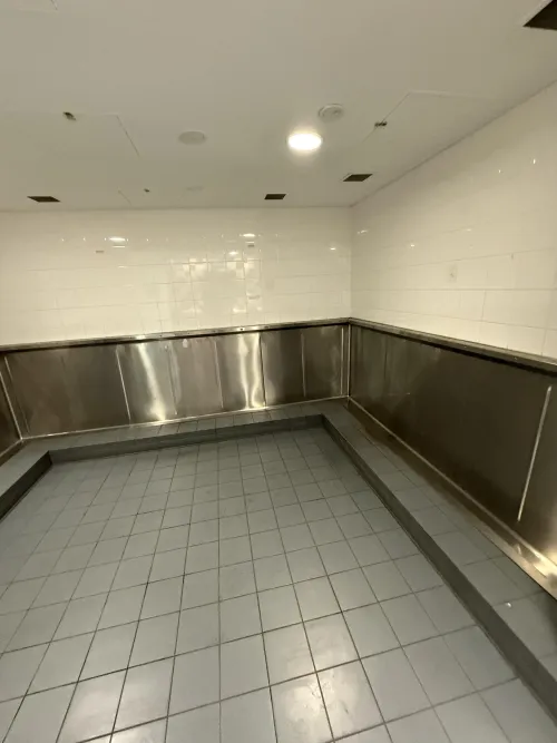 Accor Stadium, Sydney AUS