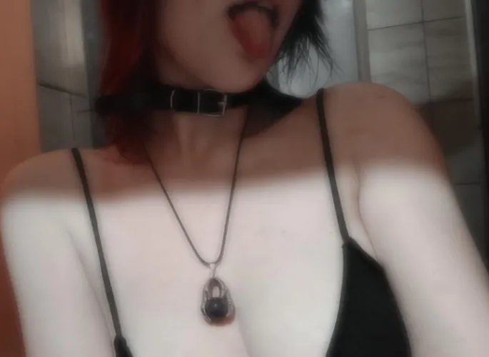 Daddy bought me an another collar! 🩷