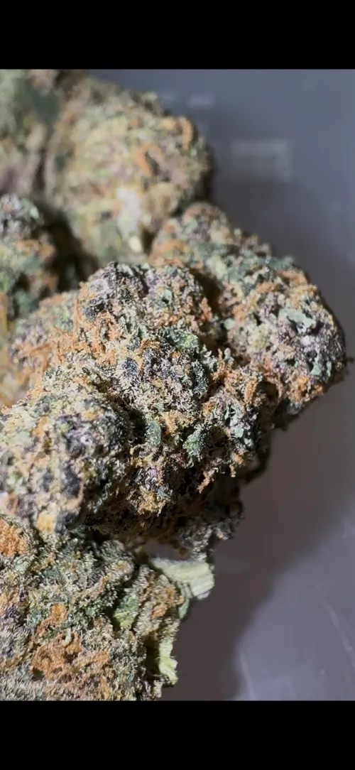 HCF is a great vendor