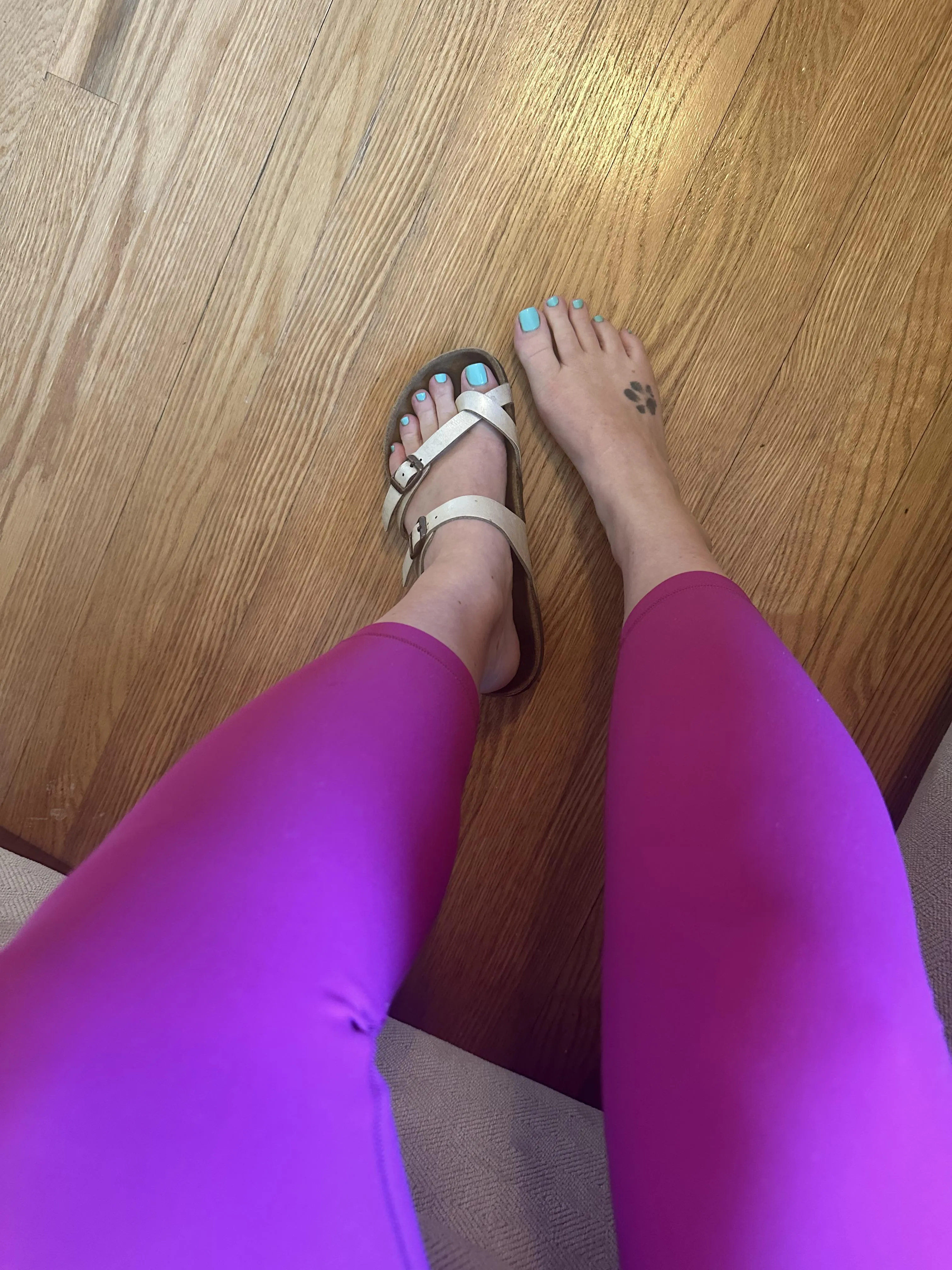 I just need you to give me back my other birk