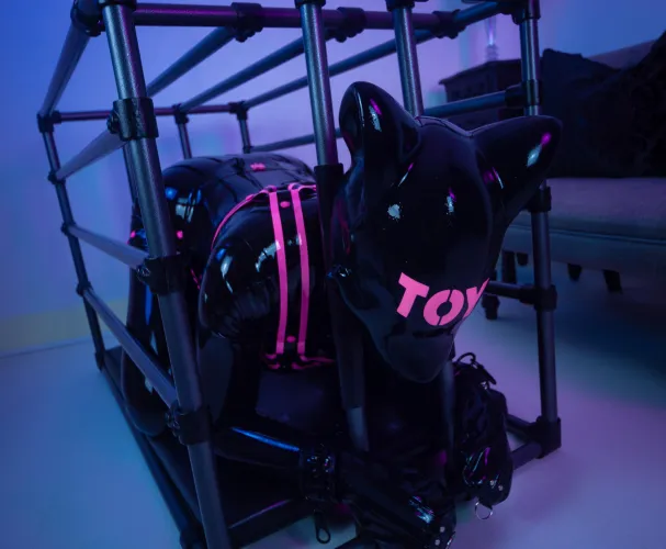 It's important to keep your toys securely stored away when not in use!