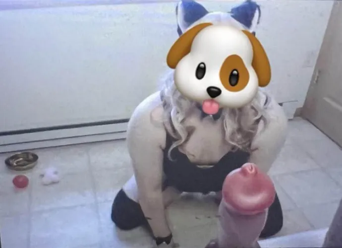 New knotty toy hehe arf! 🐩💕