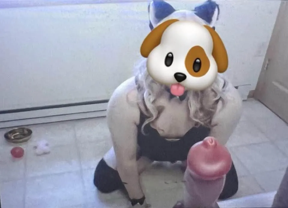 New knotty toy hehe arf! 🐩💕