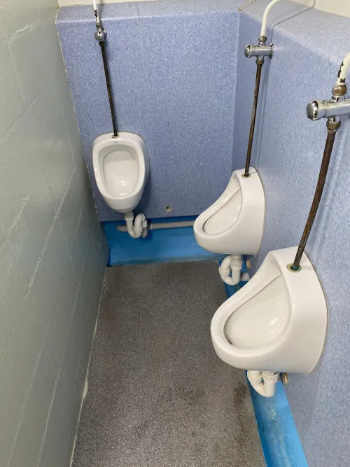 The local swimming pool