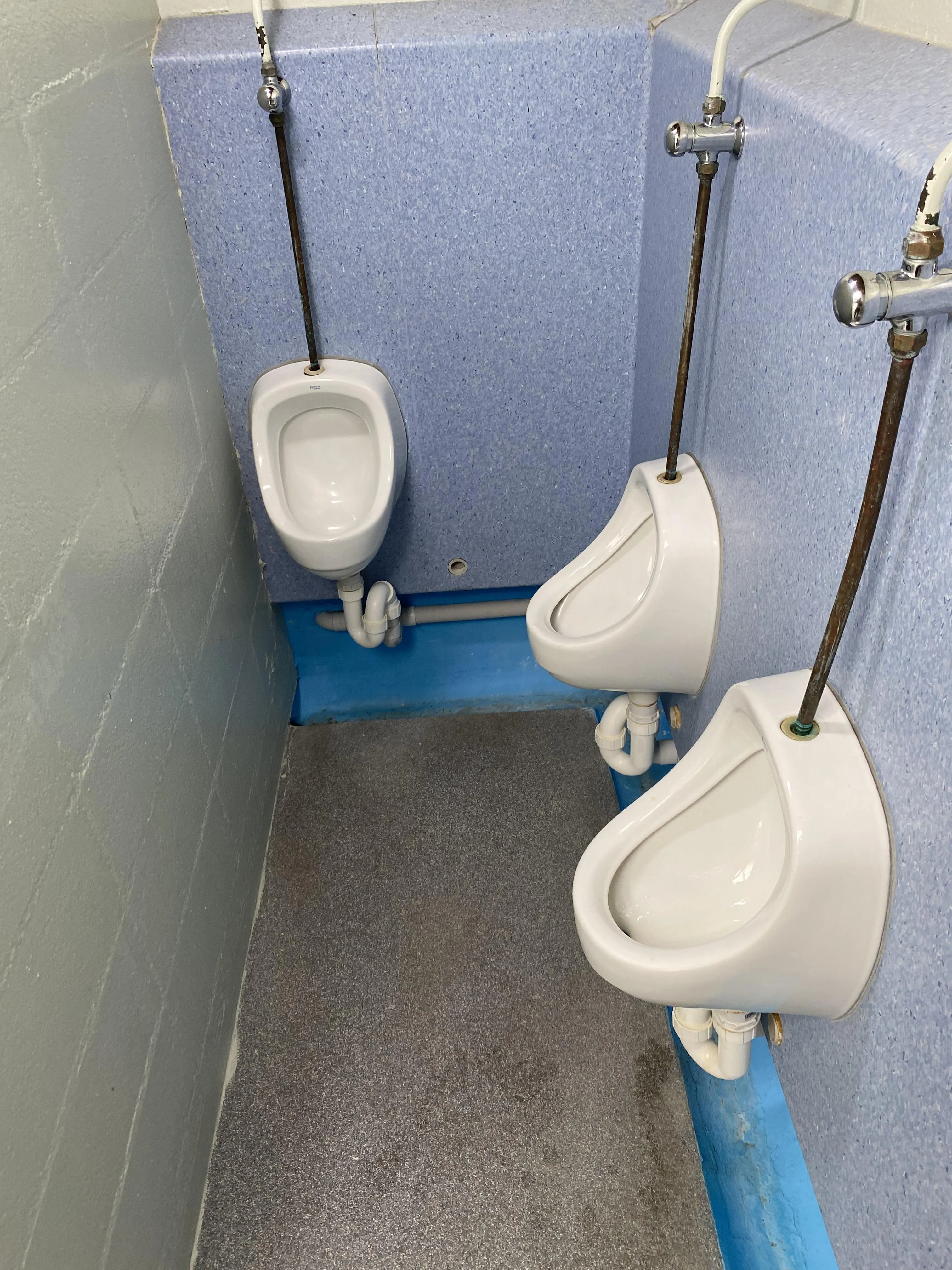 The local swimming pool