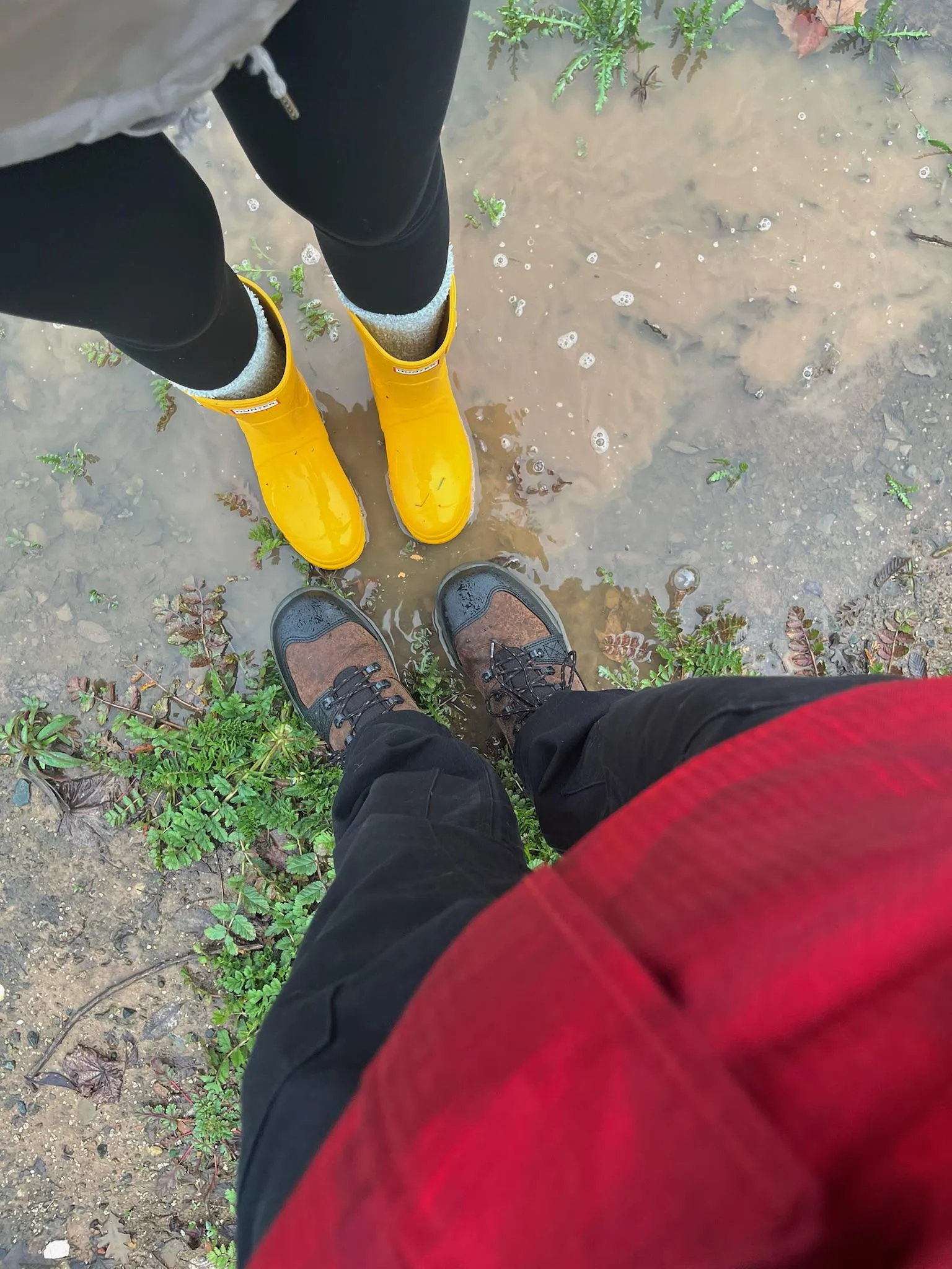 Took the baby bunny puddle hopping 🐇🐇