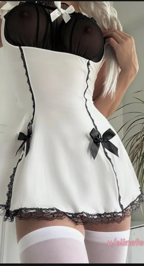 Tried looking everywhere