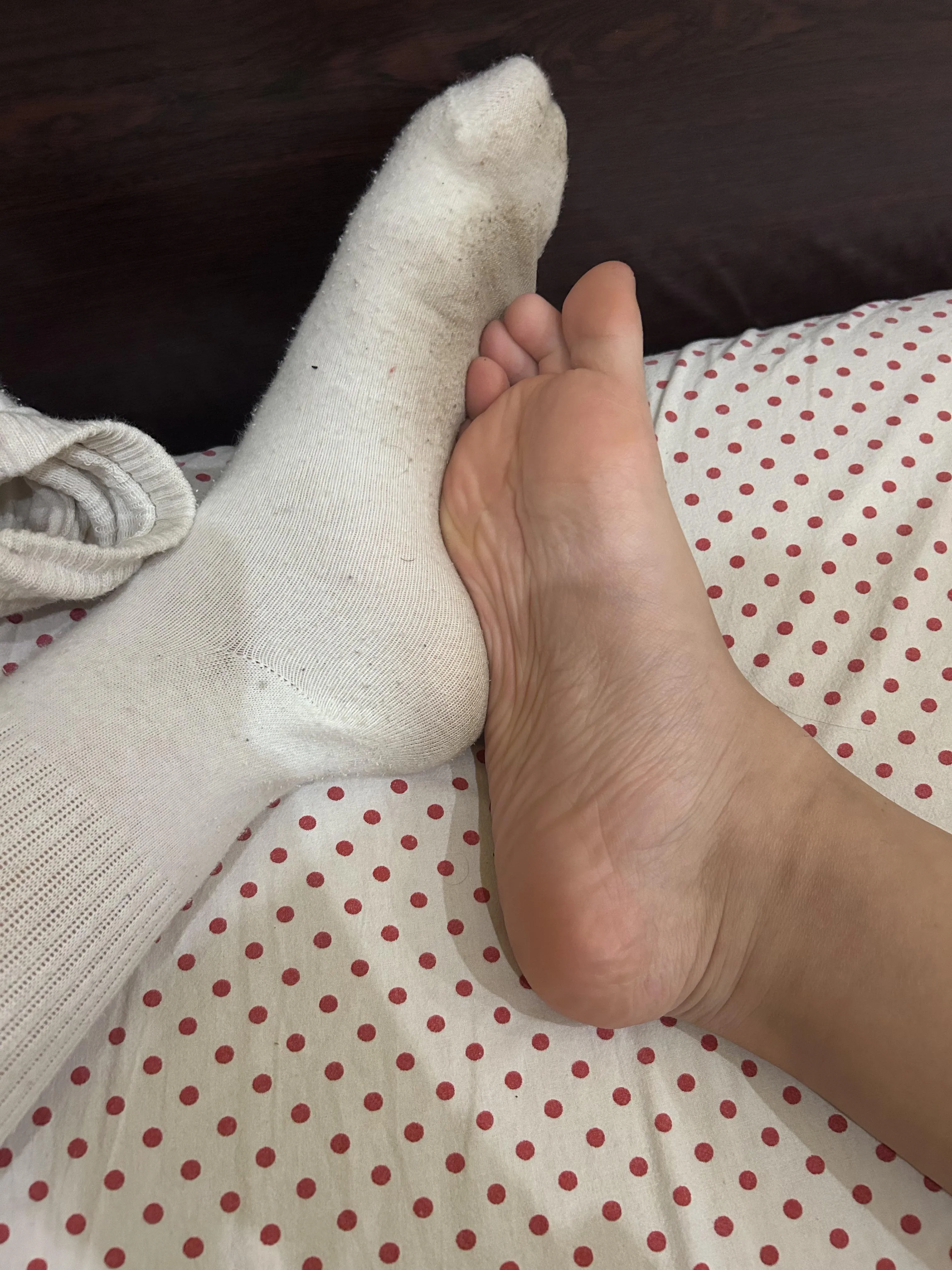 who’s a good boy? 🐶