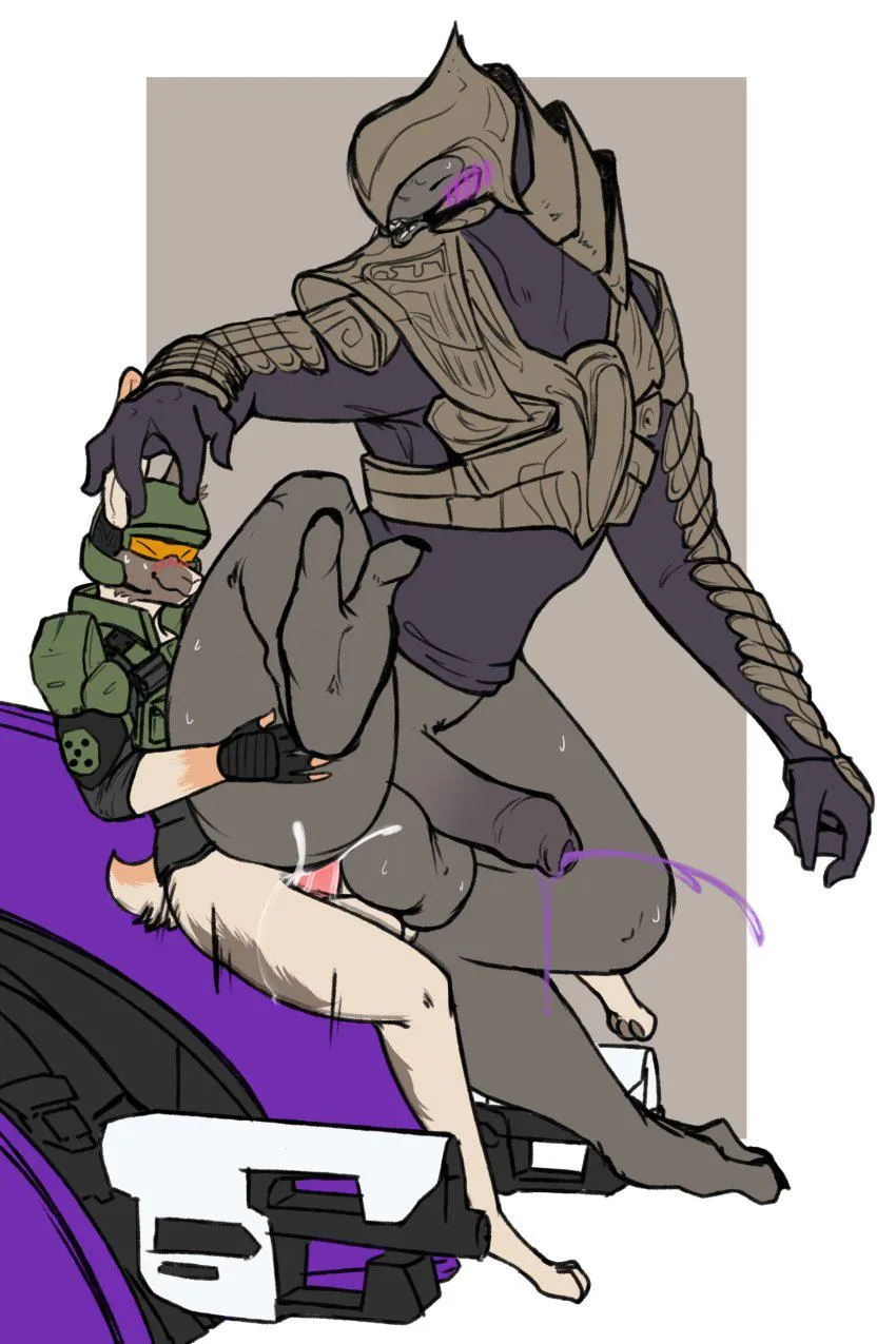 Why ain't there more sangheili's being bottomed and cumming from being fucked so good