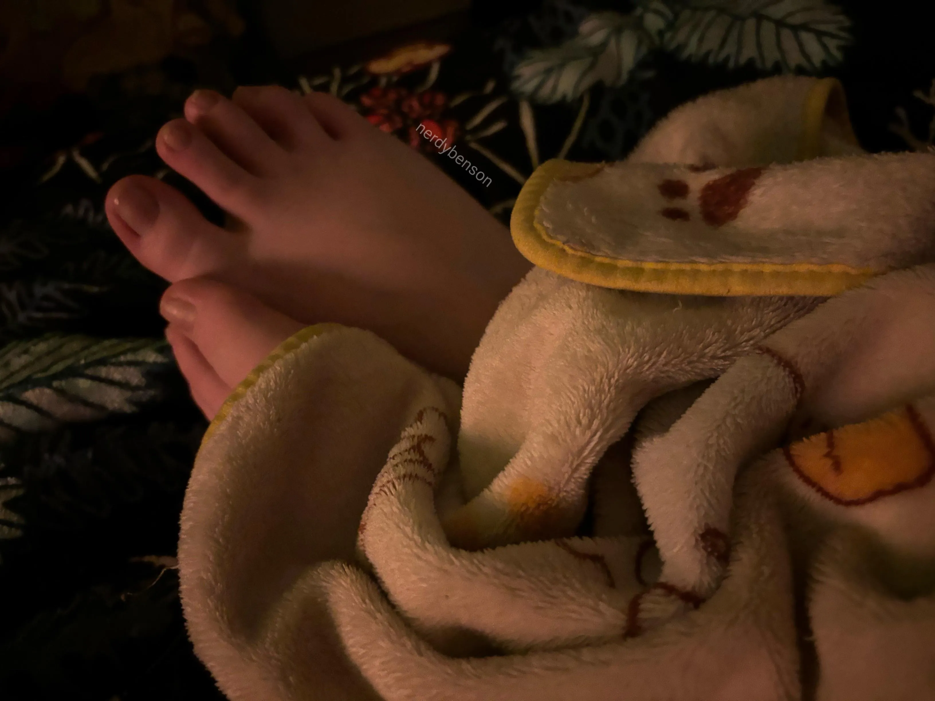 Would you lick my toes after a long day?