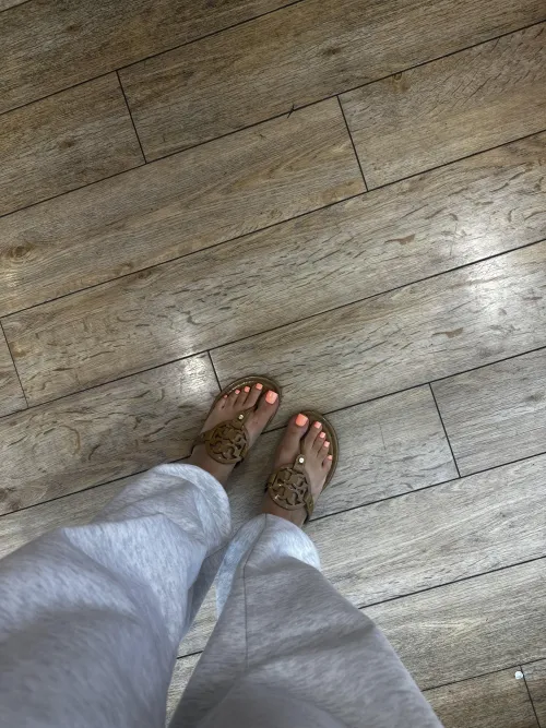 Would you sneak photos of my torys in the store?