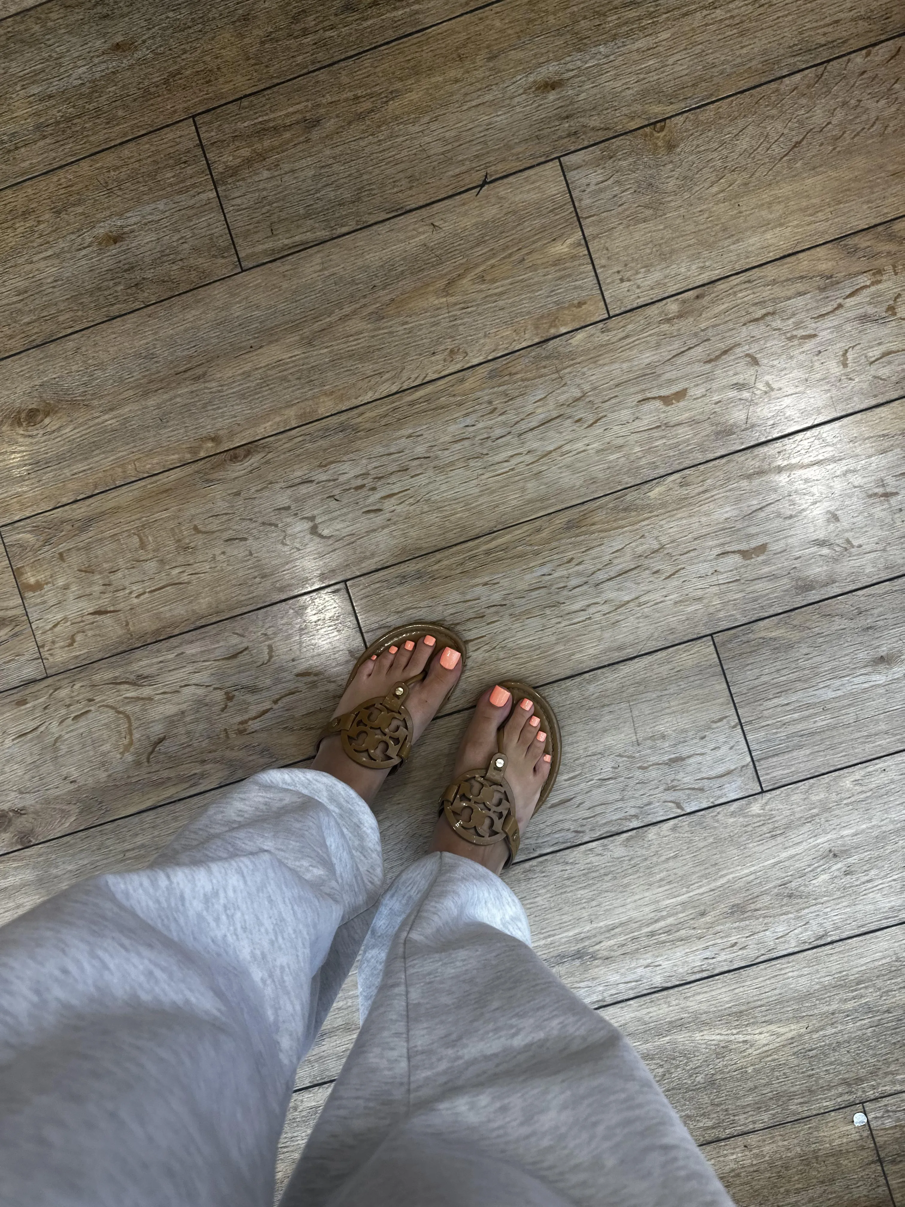 Would you sneak photos of my torys in the store?