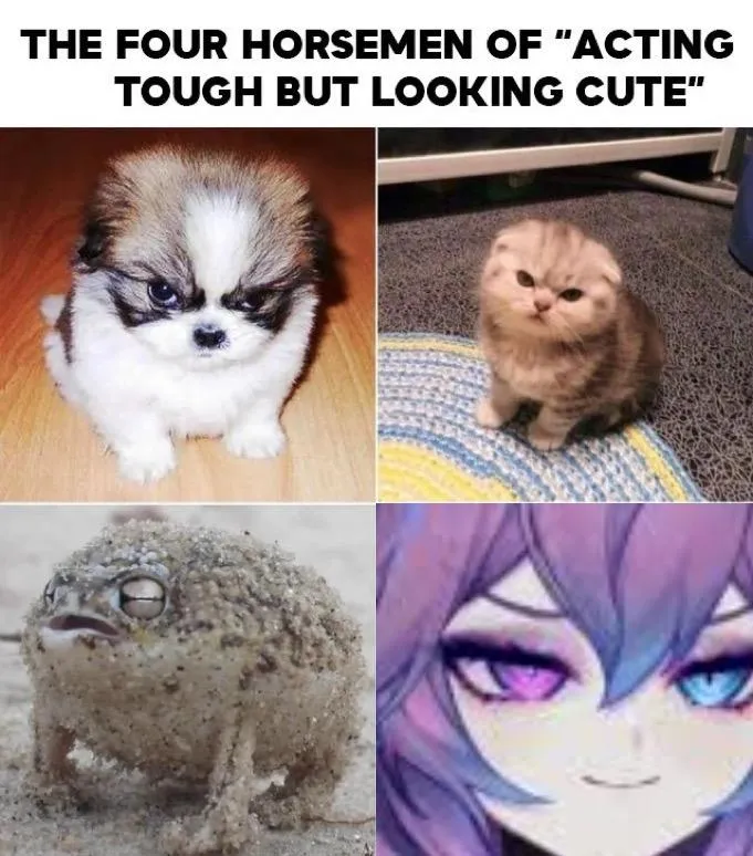 you're doing amazing sweetie