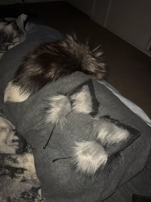 19F - Expanding the collection!