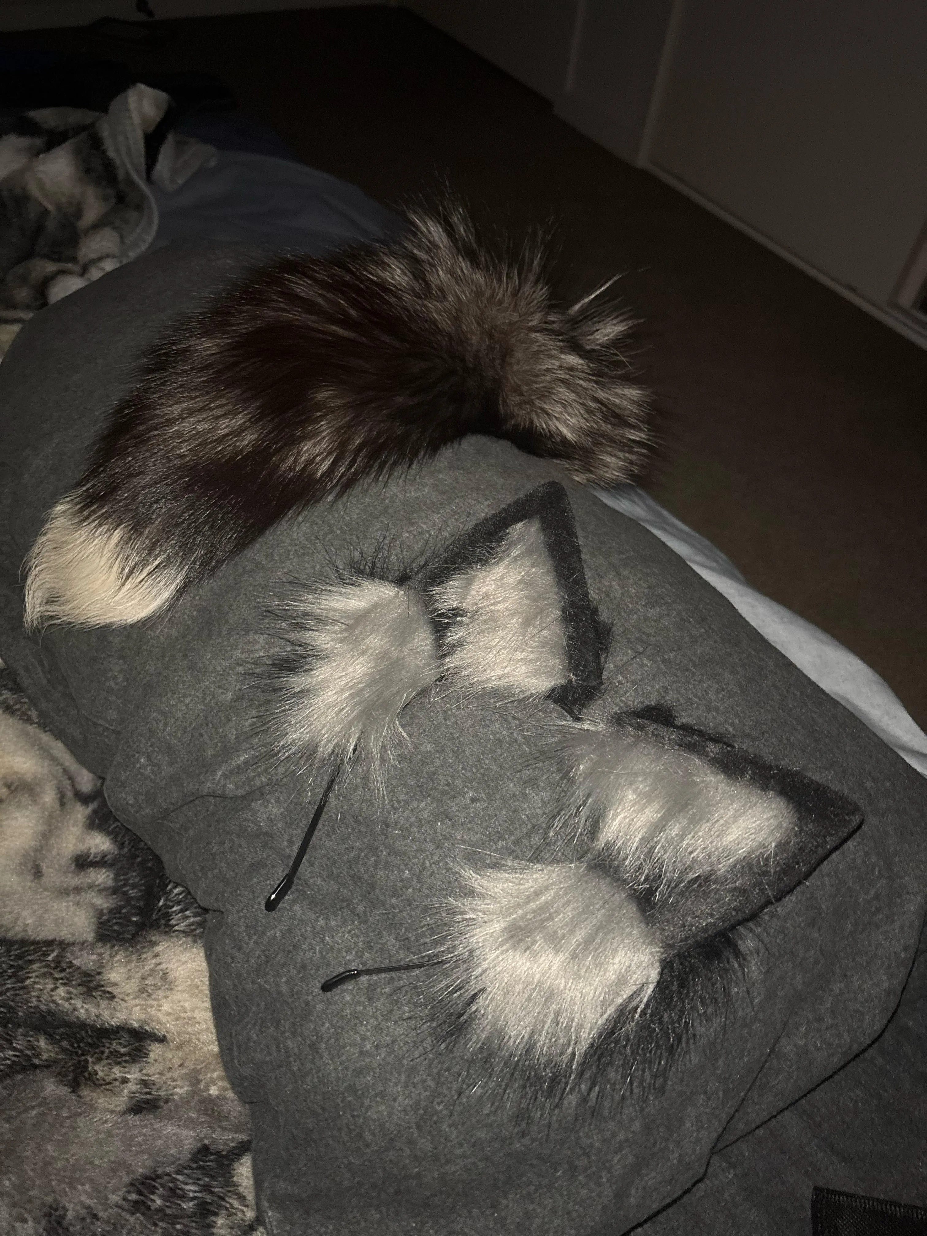 19F - Expanding the collection!