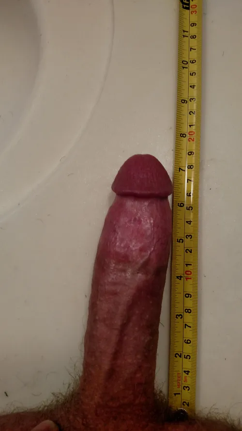37[M4MF] #kc Big Vers Bi cock for kinky couple.