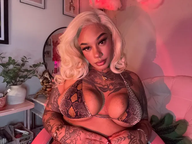 Bored at a $400 day. Do something exciting, max your cc for me.