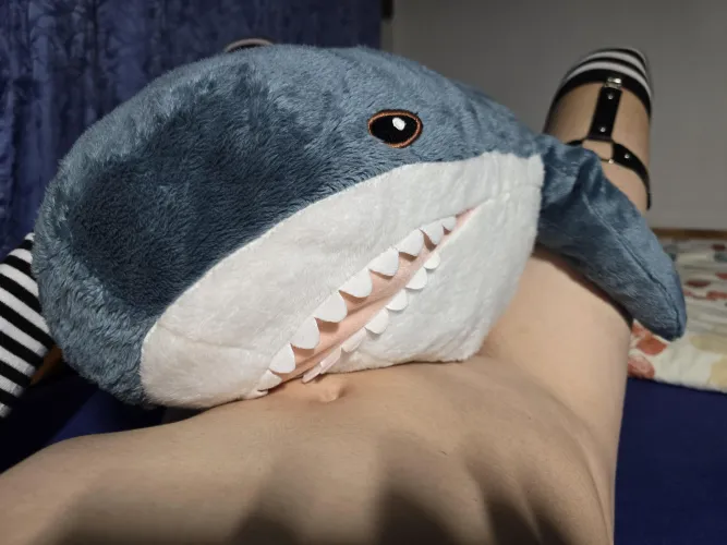 Hab jetzt auch einen plüschhai, angenehm zum kuscheln >w<