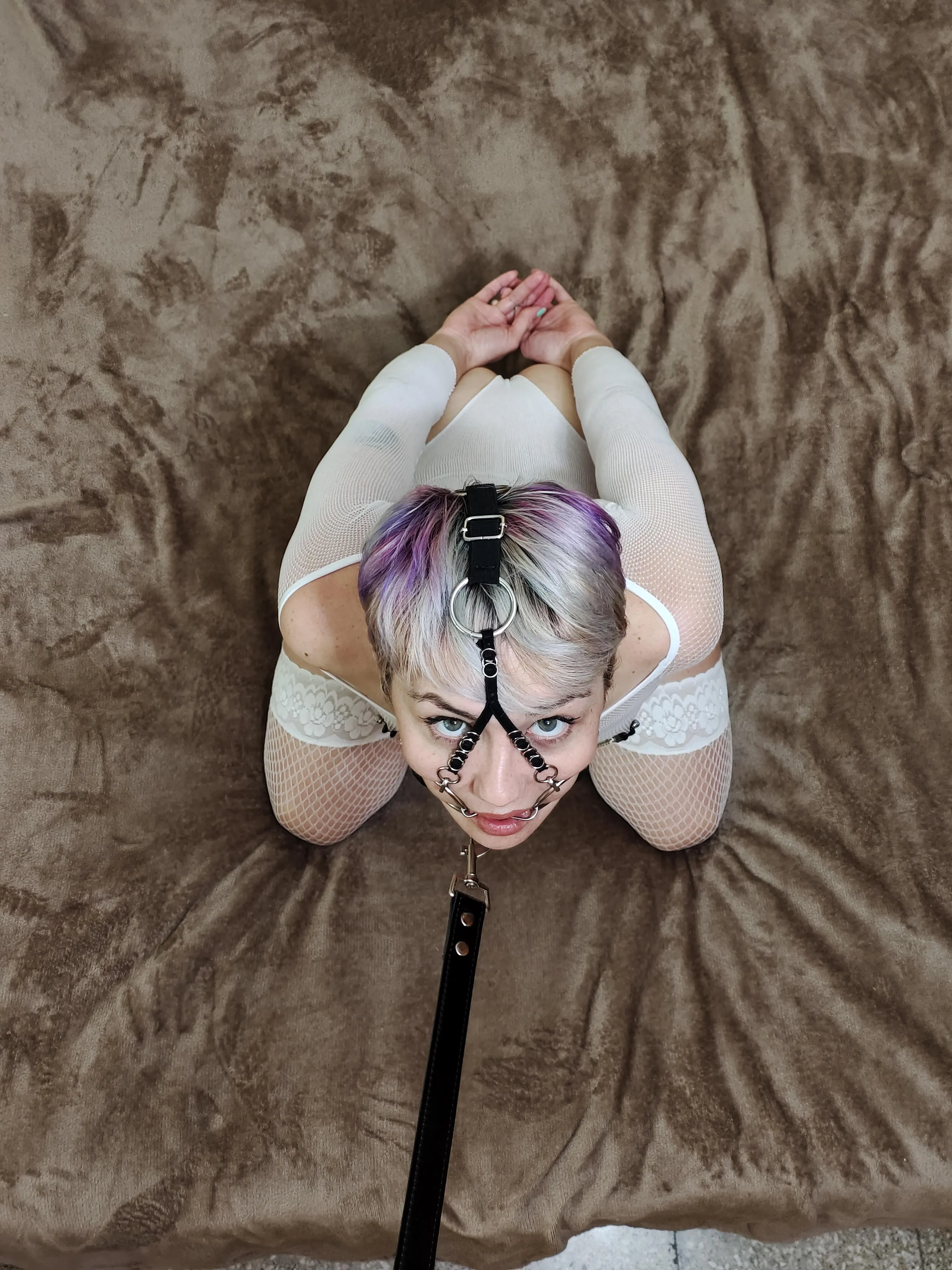 How many times would you breed me in a day?