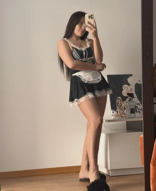 I come to the house not to clean, but to seduce the owner