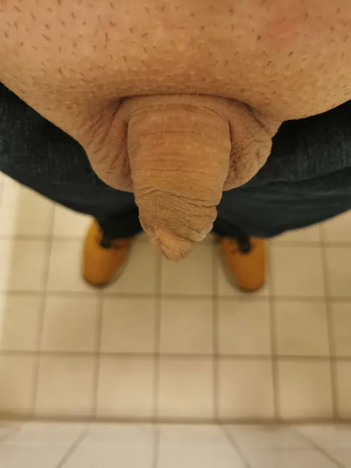 My little shaved cock