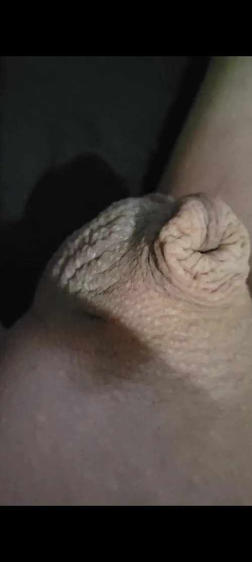 My micro sissy clitty