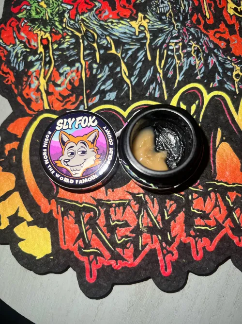 Sly fox TMZ x starburst og rosin