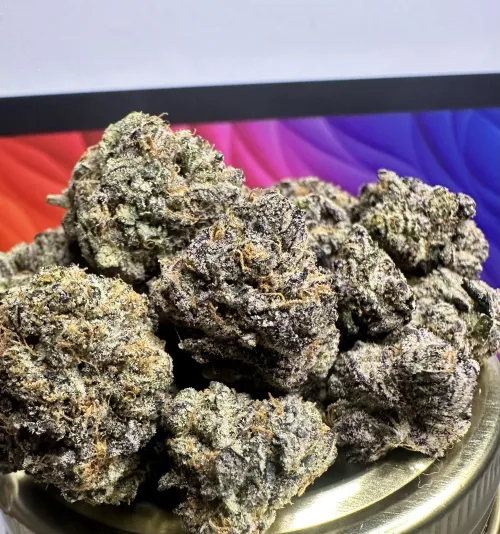 Smooth and great nose 📍n dallas