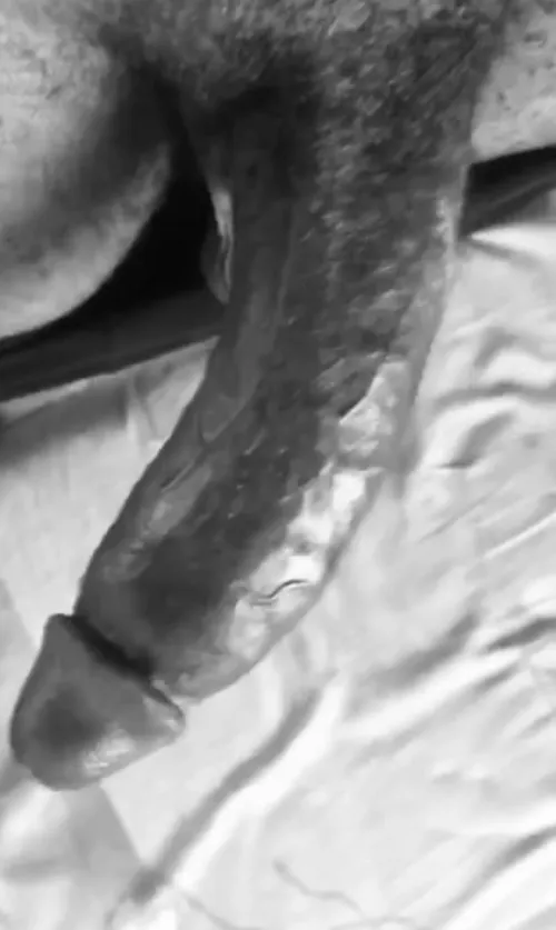 Take her to Poundtown