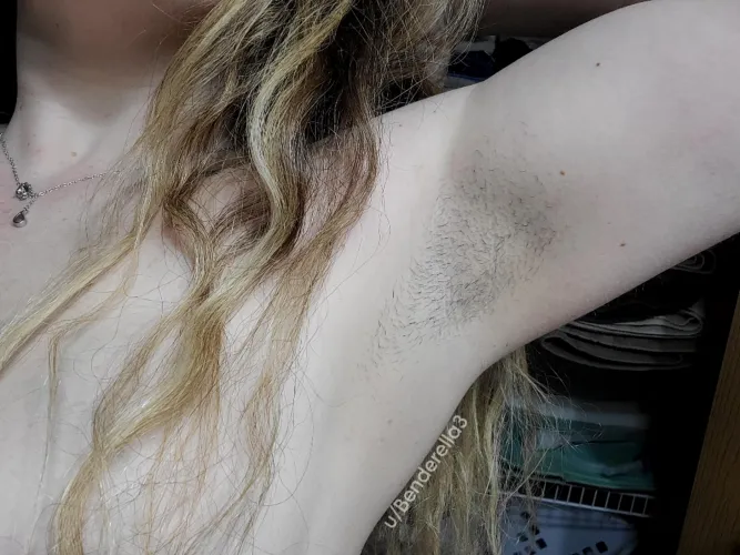 Too prickly for you? 🌵