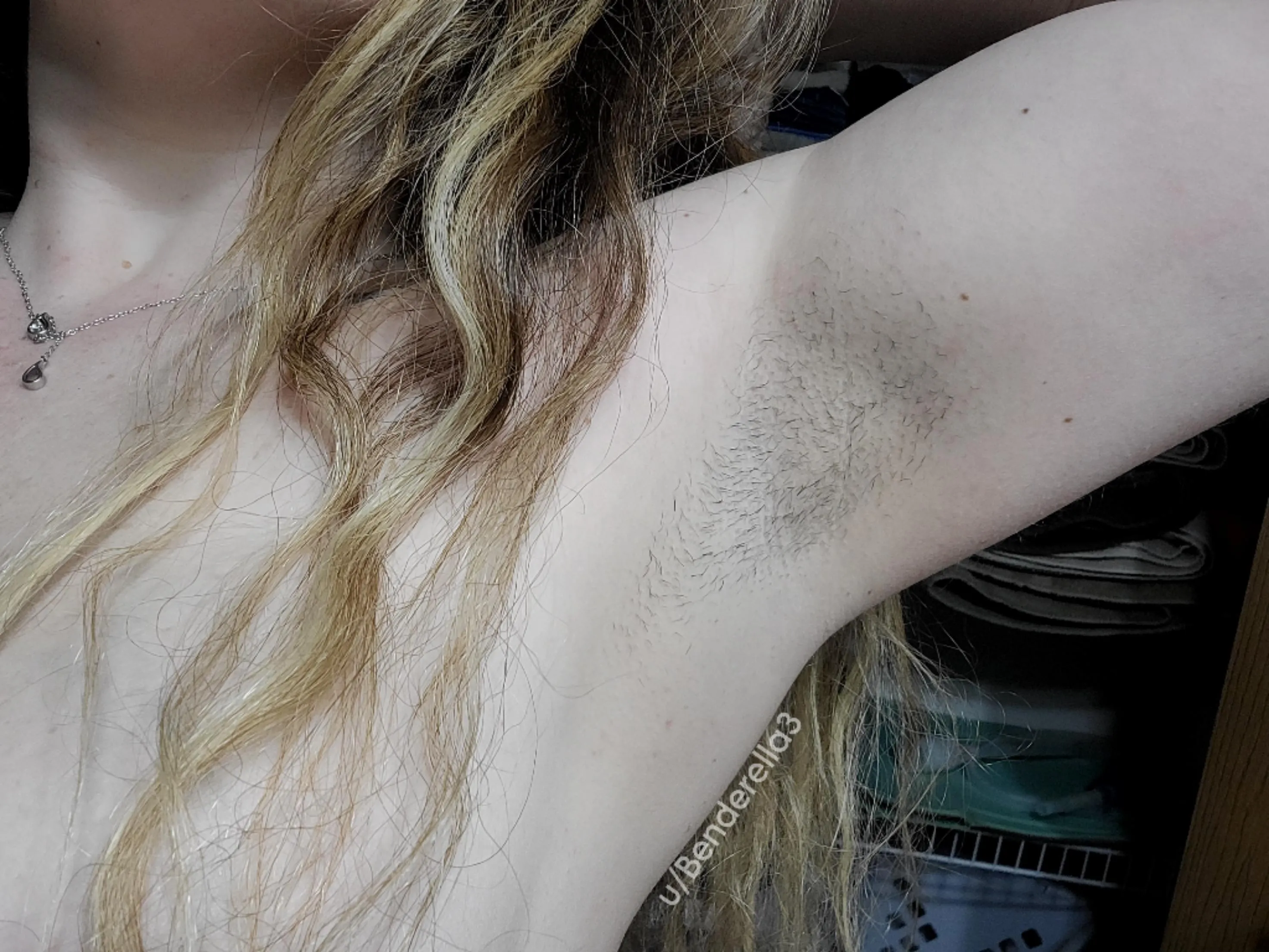 Too prickly for you? 🌵