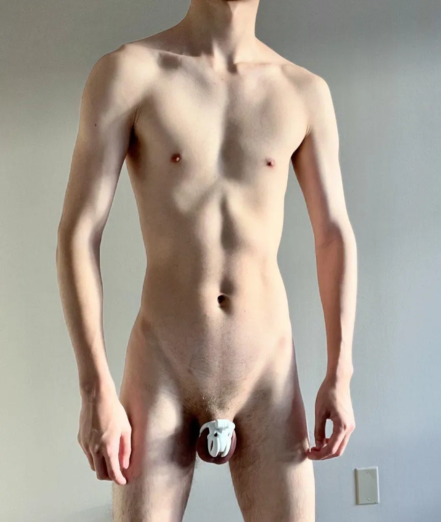 what a good boy looks like (Viper N)