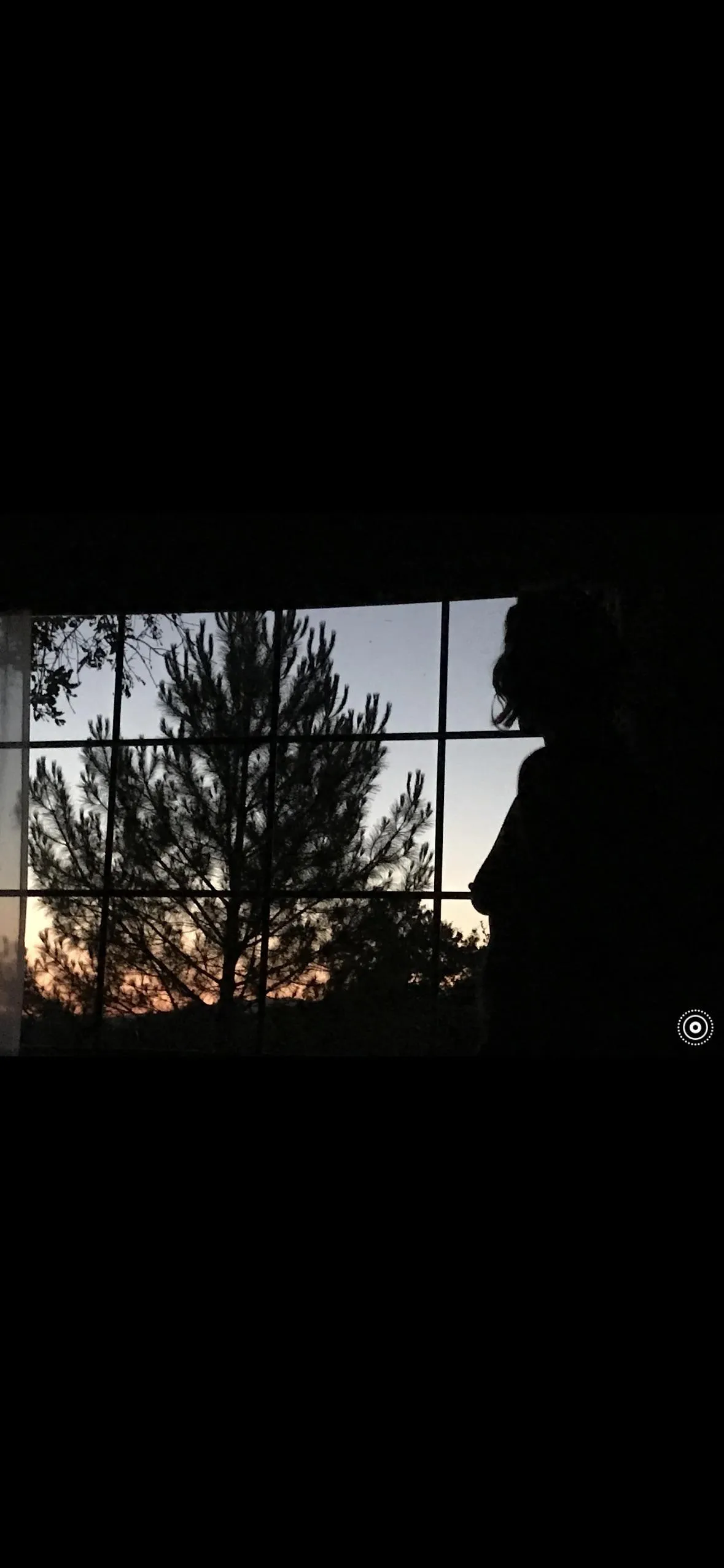 What we do in the shadows