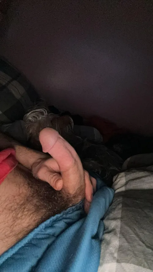 Who likes them curved?