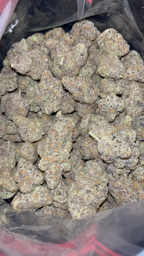 Winter sunset 🌅 🔥