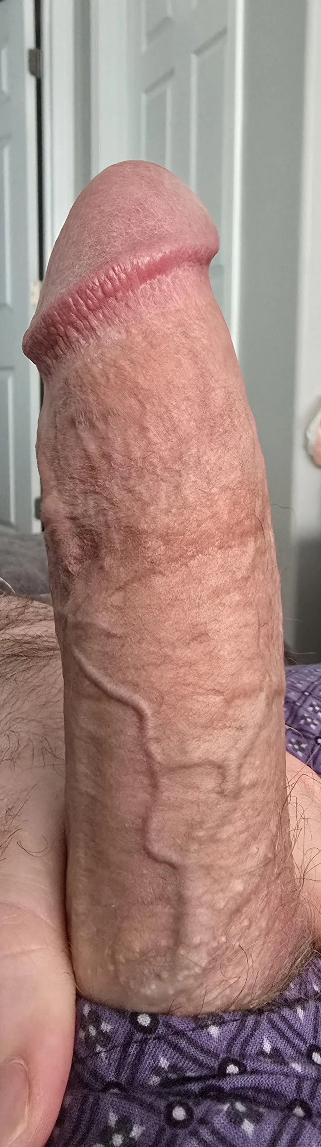 Been a rough few days needing a distraction