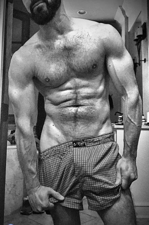 B&W Boxers…going down…