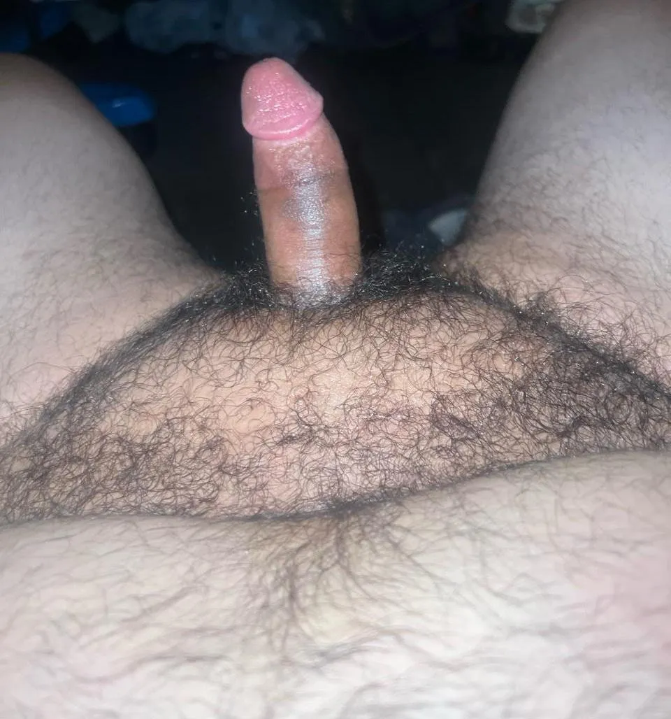 Dm if you like my cock. (Dm for kik)