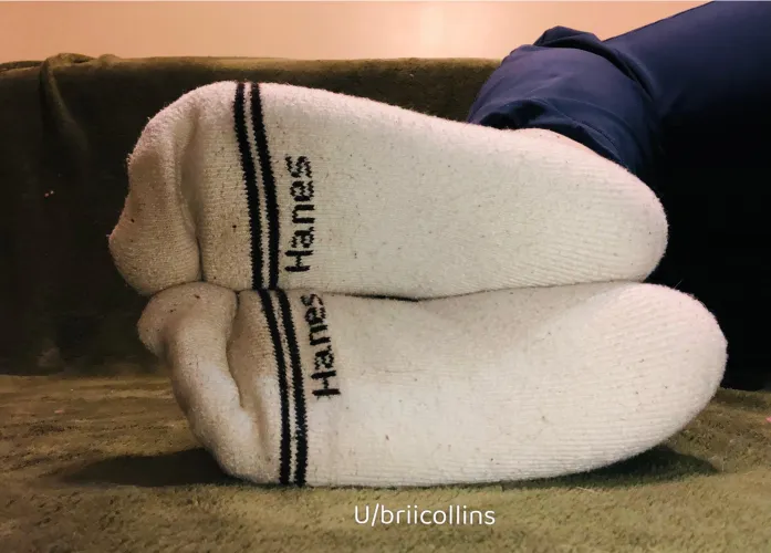 Now be a good boy, and get down and smell them [f]