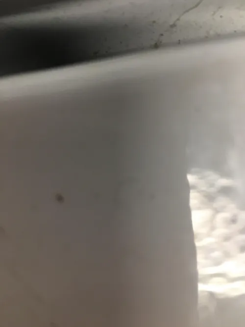 Punta gorda hotel GH. Ready to please