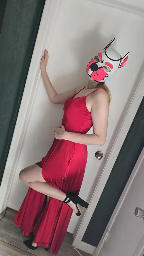 Puppy is ready to go out for valentines day~ 🐾