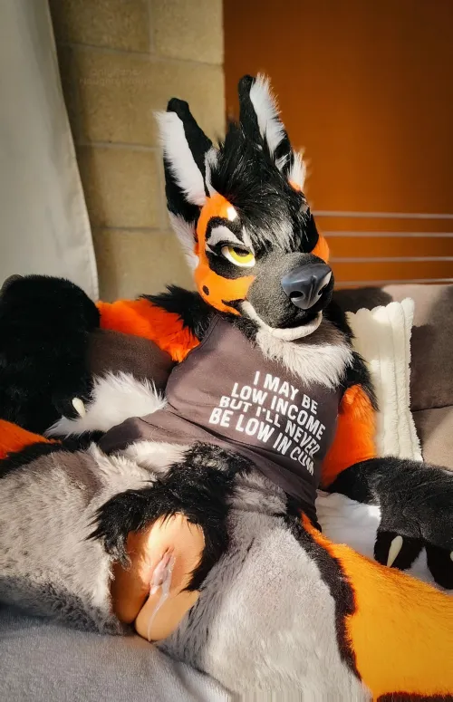 Shirt says it all 💵💦✨OF: NaughtyWoofs