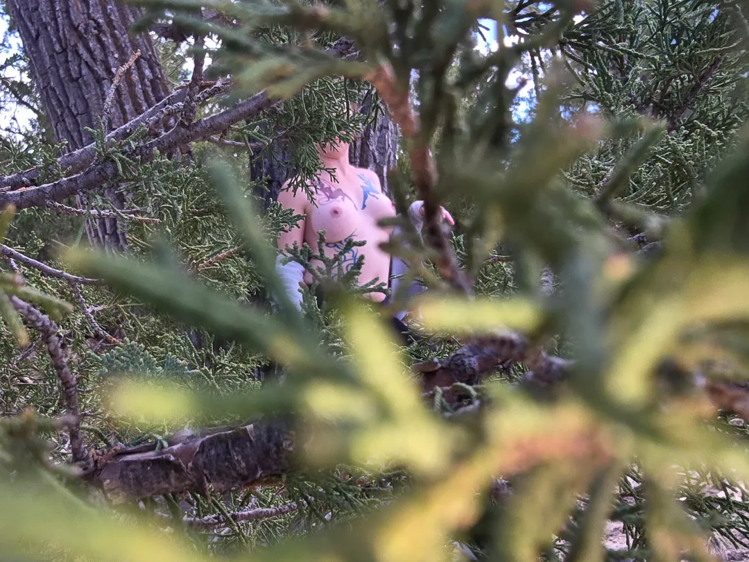 Sneaking a peek through the trees