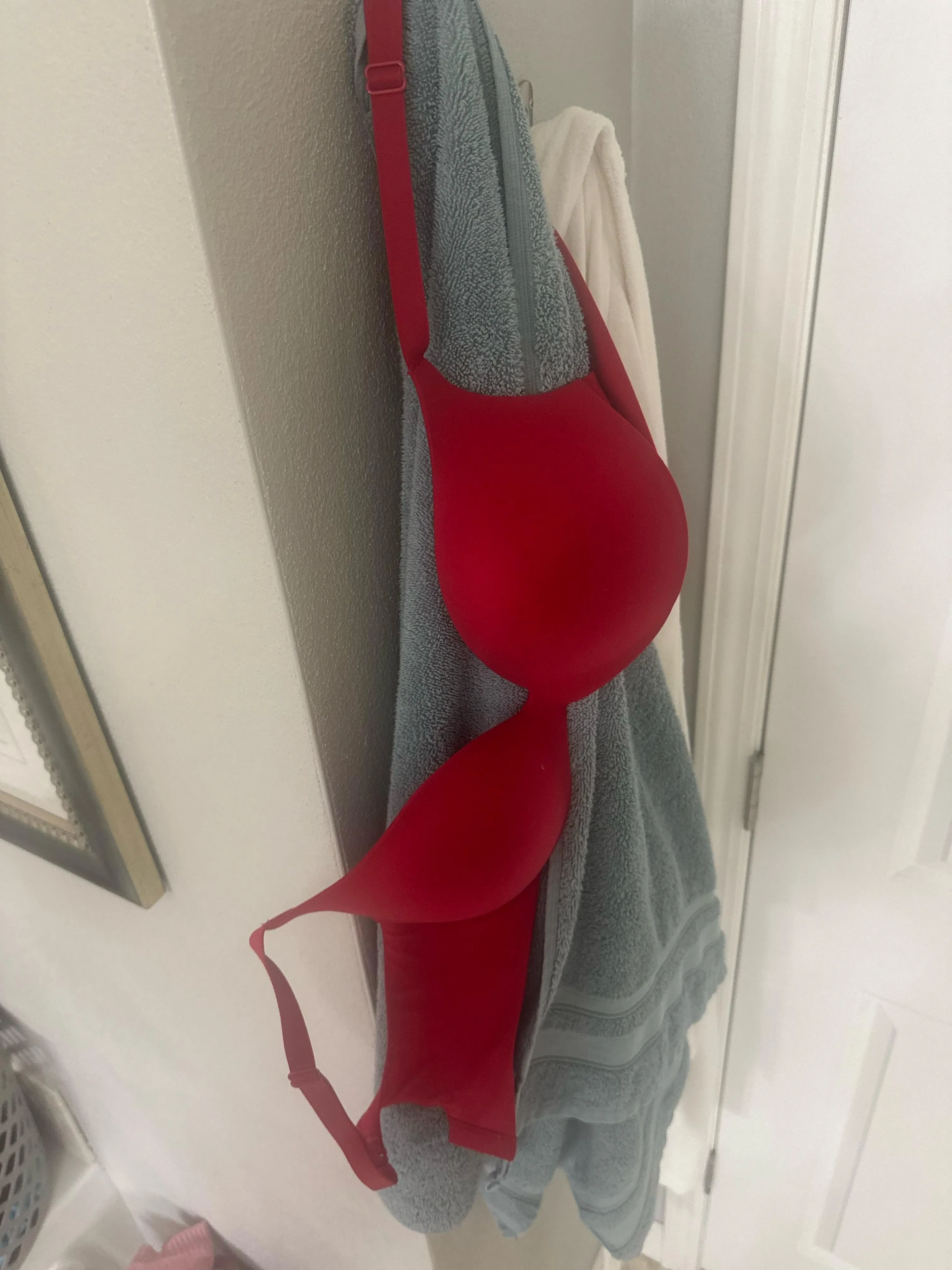 Wife’s hanging this morning in bathroom 34c