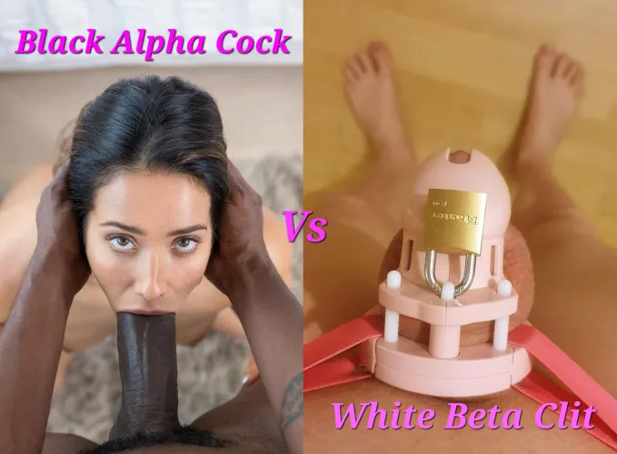 You Won't Ever See A Girl On Her Knees For Your Little Clit