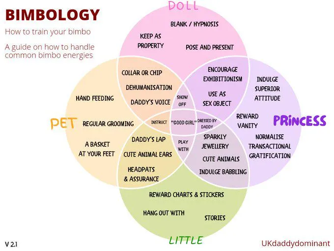 Bimbology Venn Diagram: Which category do you identify with the most?
