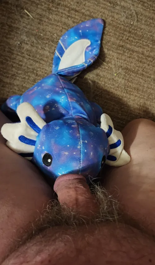 Caught: Hook, line and sinker.