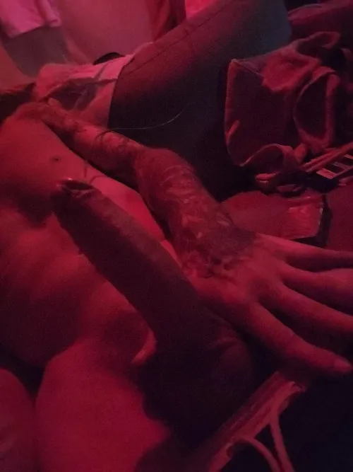 hung young bull for wives dm me